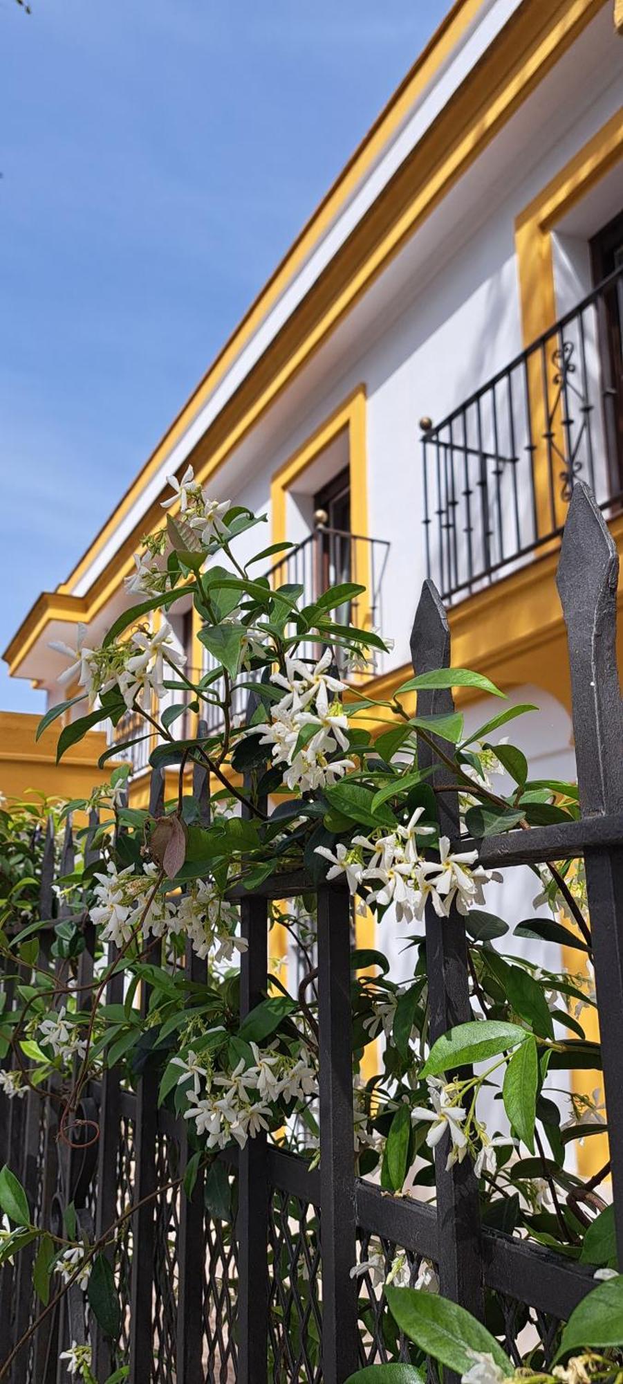 Villa Marcel Jerez de la Frontera Exterior foto